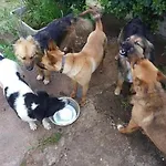 A Casa Di Clio בית נופש