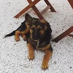 A Casa Di Clio * צ'לייה מספיקה