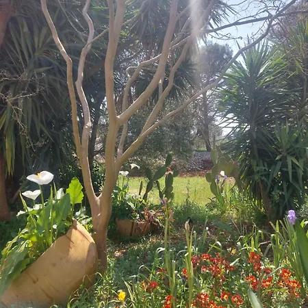 A Casa Di Clio * צ'לייה מספיקה