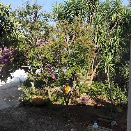 A Casa Di Clio Σπίτι διακοπών Ceglie Messapica