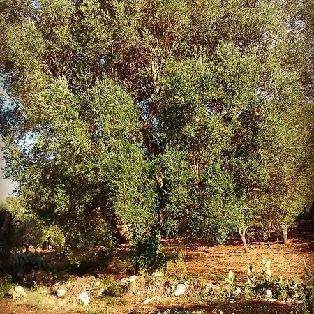 A Casa Di Clio Ceglie Messapica