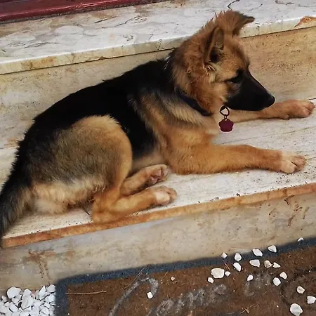 A Casa Di Clio Σπίτι διακοπών