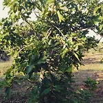 Holiday home A Casa Di Clio Ceglie Messapica