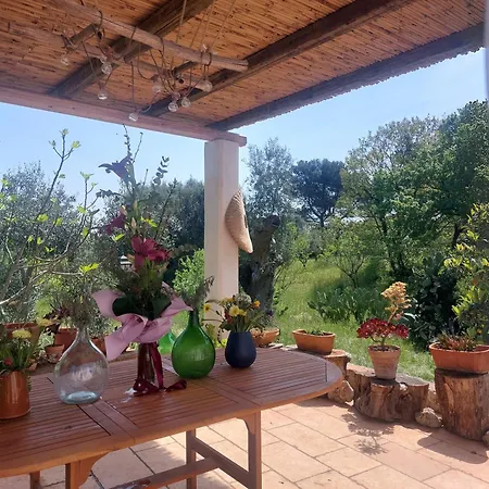 A Casa Di Clio Ceglie Messapica