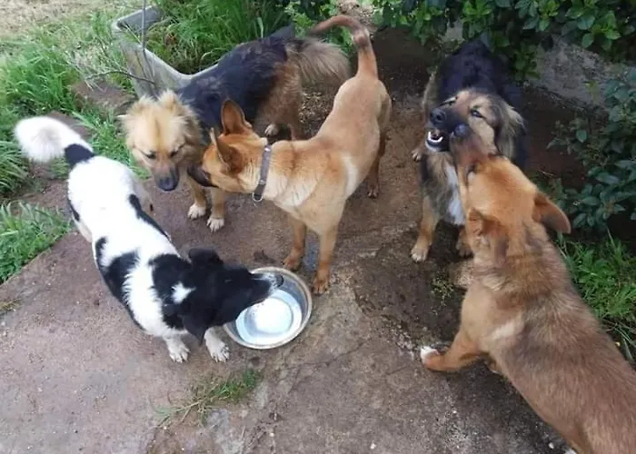 A Casa Di Clio Nyaraló