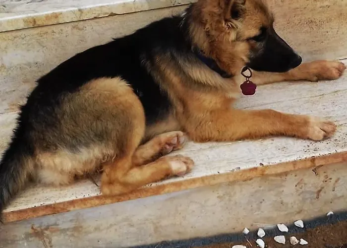 A Casa Di Clio Prázdninový dům